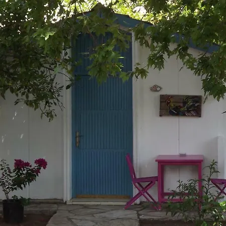 Hotel Zebu