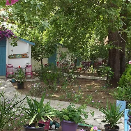 Zebu Hotel