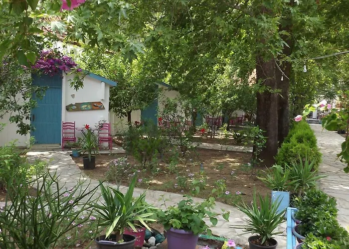 Zebu Hotel